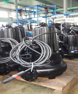南京蓝深制泵WQ系列潜水排污泵(WQ70-14-5.5)_食品机械设备产品_中国食品科技网